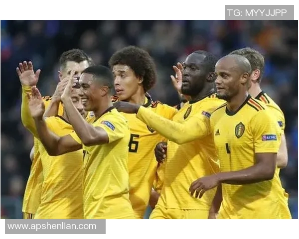 英超聚焦羽毛球南京队实力分析与未来发展展望