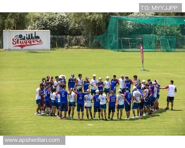 南京飞盘队状态分析与运动飞盘发展前景探讨