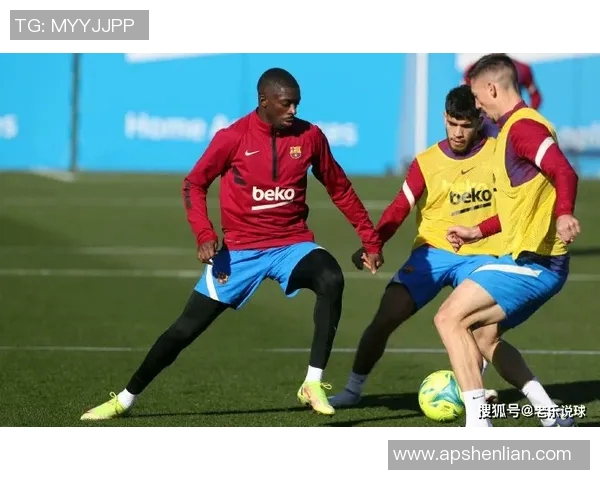 体育实时数据西安排球队比赛经验引发热议球迷观点各异探讨战术与策略