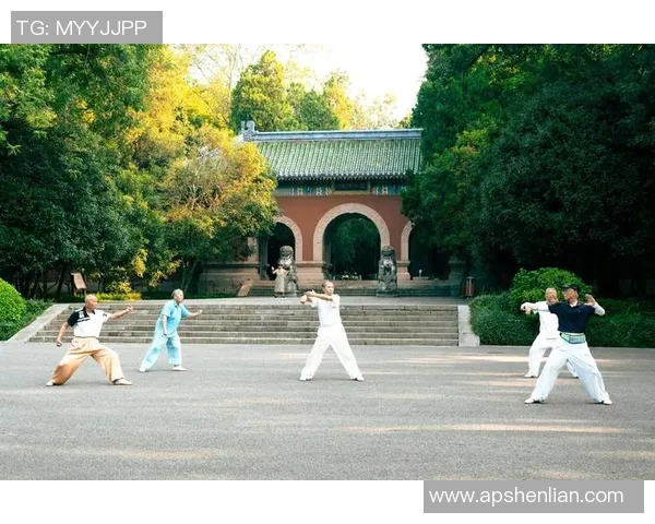 运动最新数据上海排球队速度分析与战术应用的深度探讨与研究 运动最新数据上海排球队速度分析与战术应用的深度探讨与研究